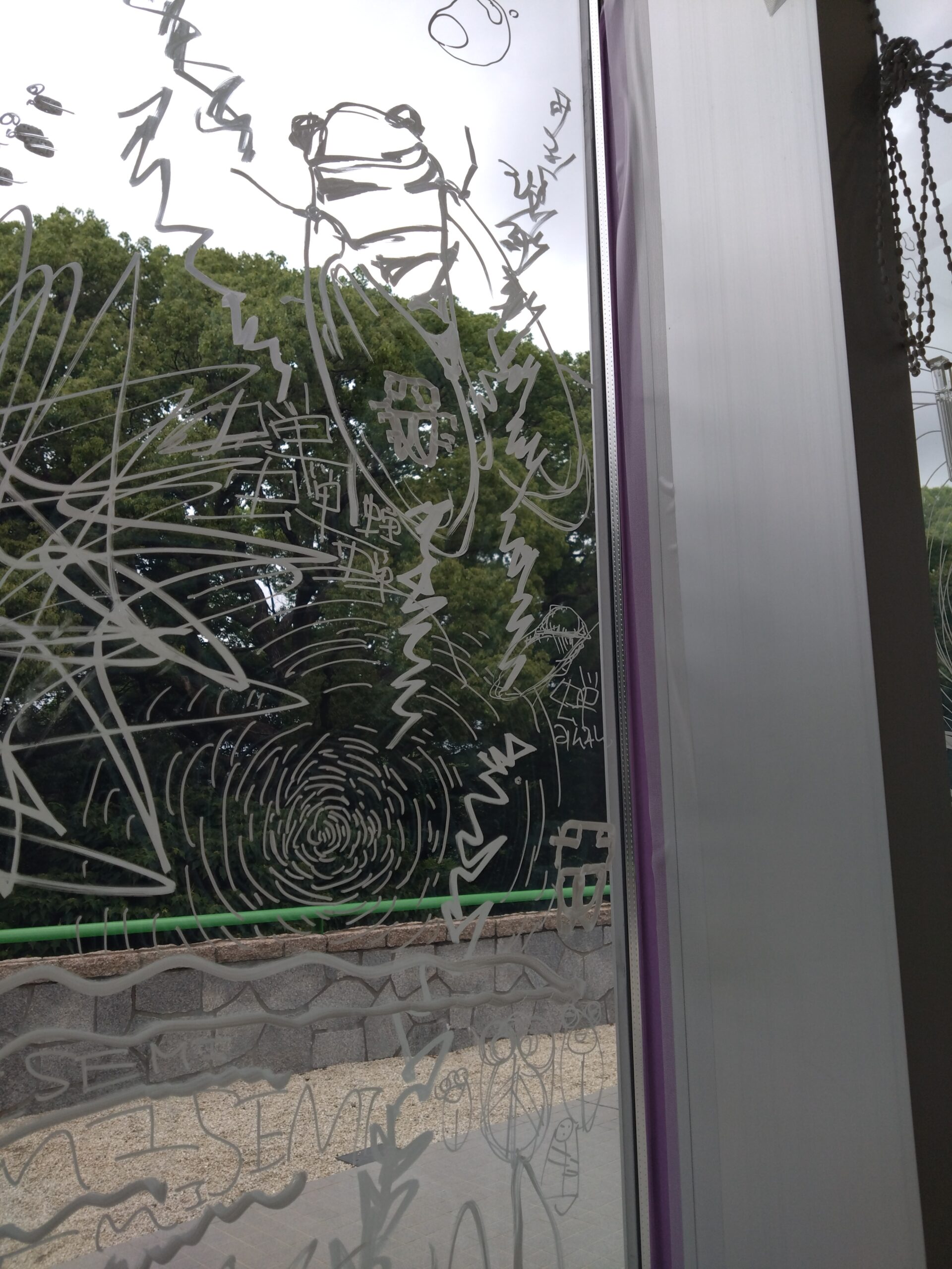 組織の良さ 写真